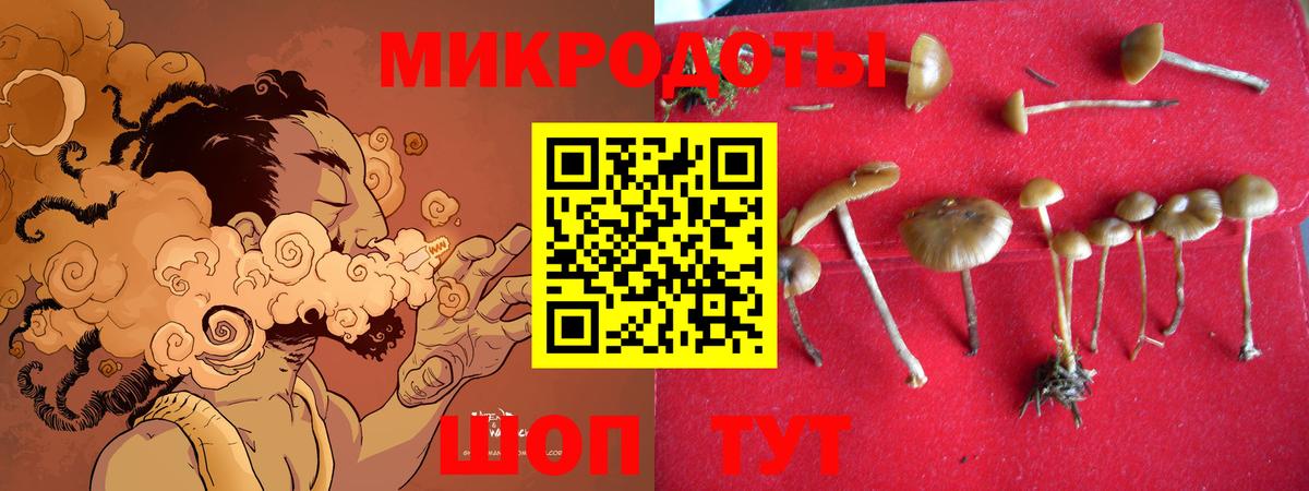 Псилоцибиновые грибы прущие грибы Белогорск